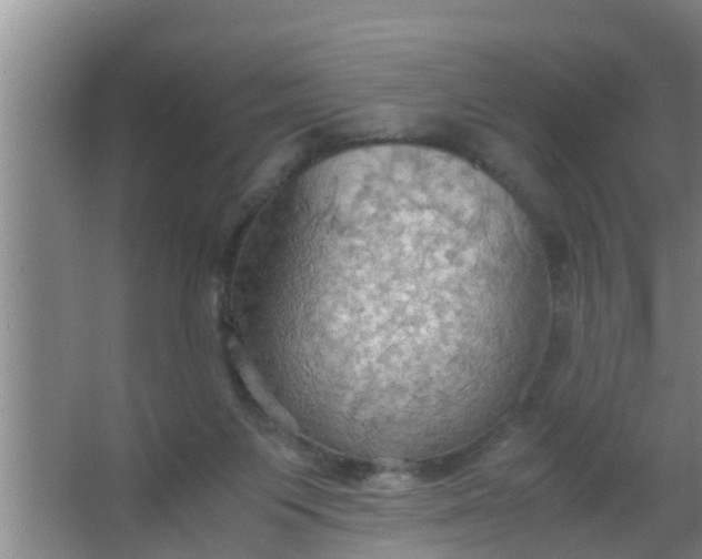 X0000063470119200602031910