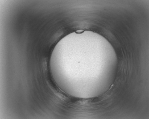 X0000063470120200602031910