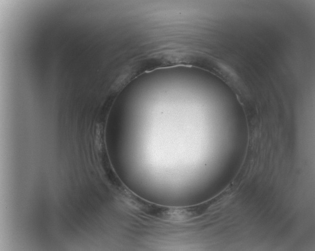 X0000063470121200602031910