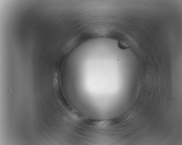 X0000063470122200602031910