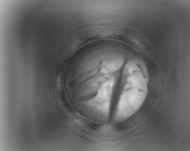 X0000063470123200602031910