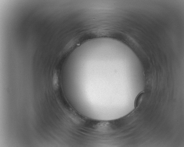 X0000063470124200602031910