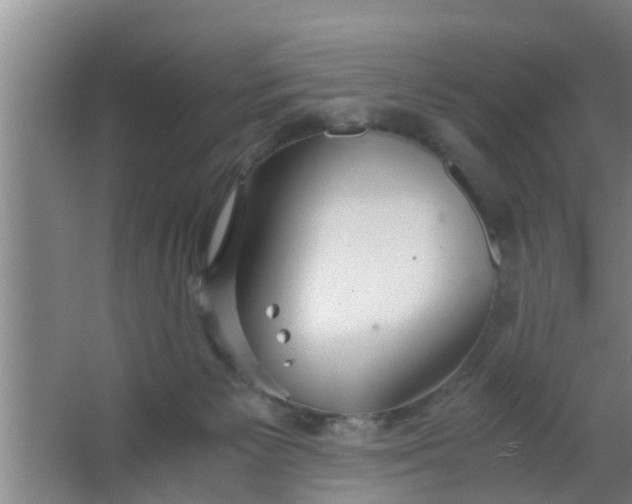 X0000063470125200602031910