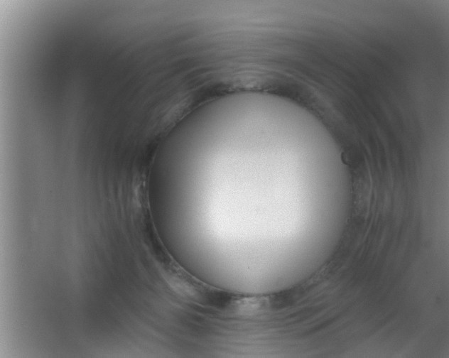 X0000063470126200602031910