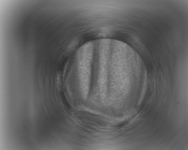 X0000063470127200602031910