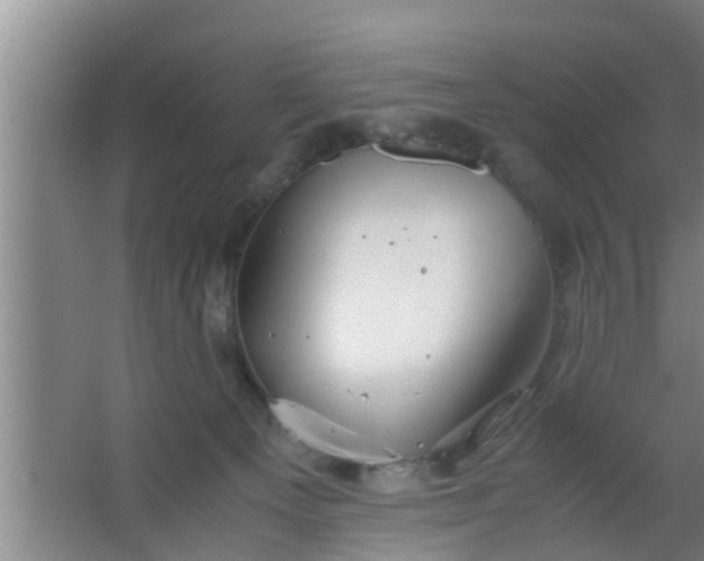 X0000063470129200602031910