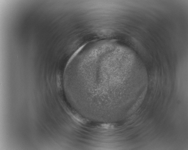 X0000063470130200602031909