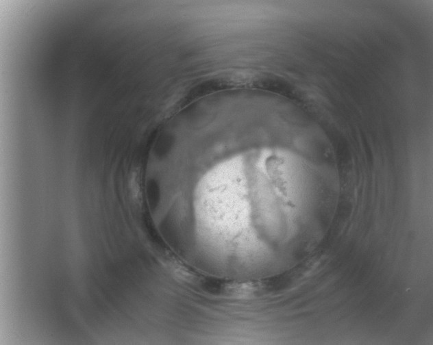 X0000063470131200602031909