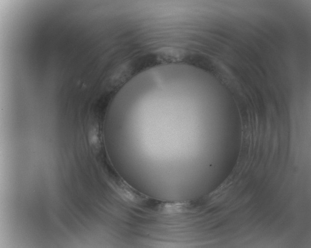 X0000063470134200602031909