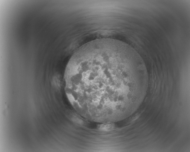 X0000063470135200602031909