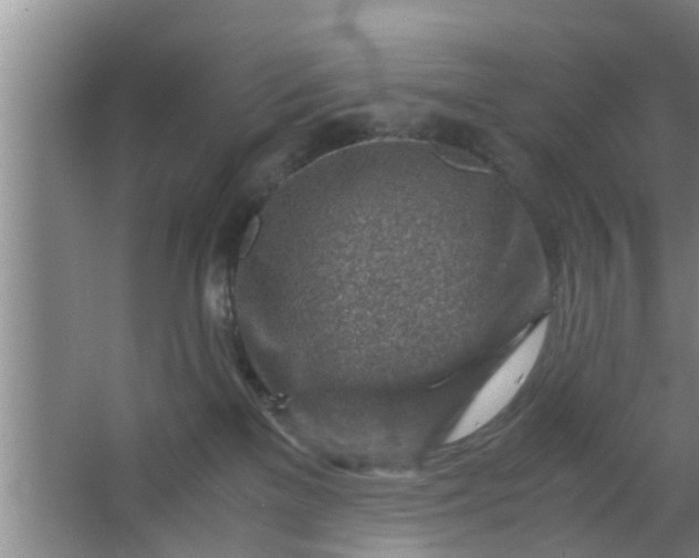 X0000063470137200602031909