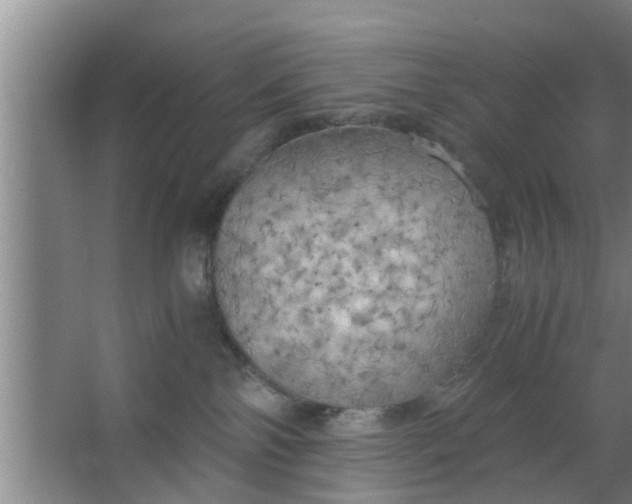 X0000063470138200602031909