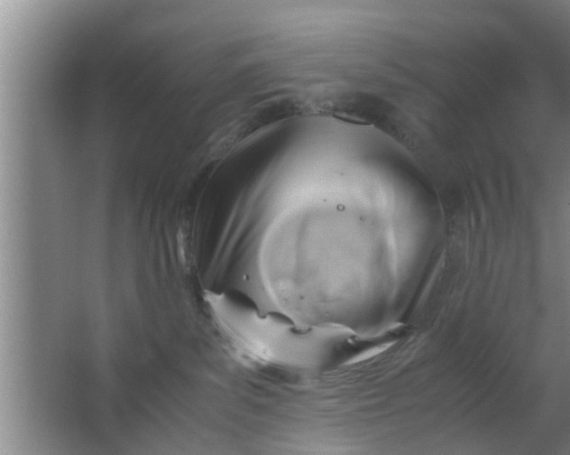 X0000063470139200602031909