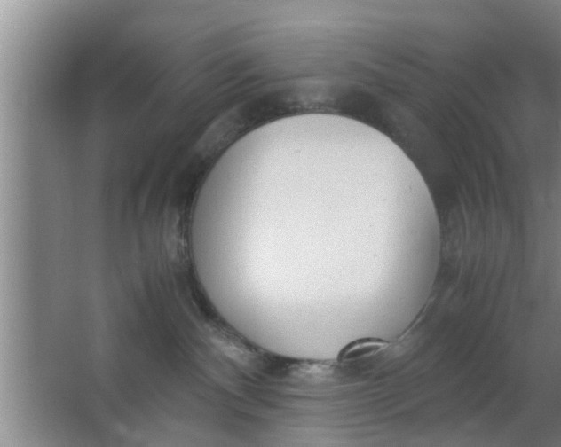 X0000063470140200602031909