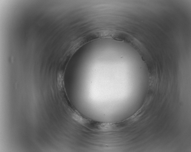 X0000063470142200602031909