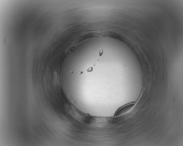 X0000063470144200602031909