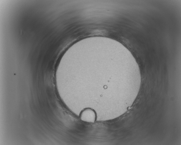 X0000063470146200602031908