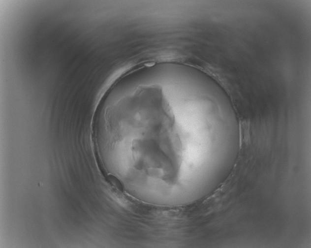 X0000063470147200602031908