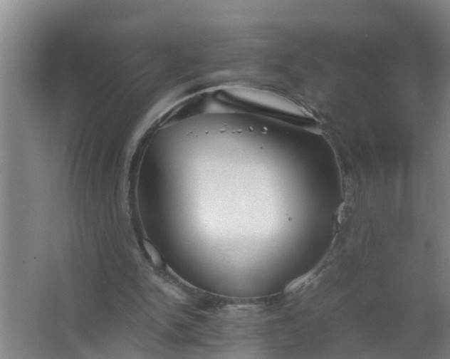 X0000063470150200602031909