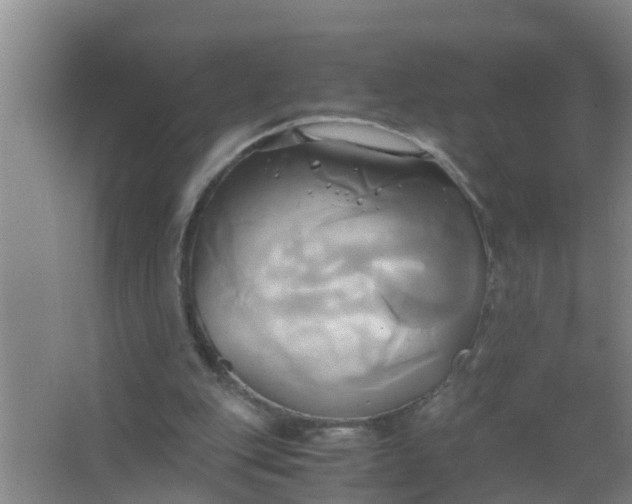 X0000063470151200602031909