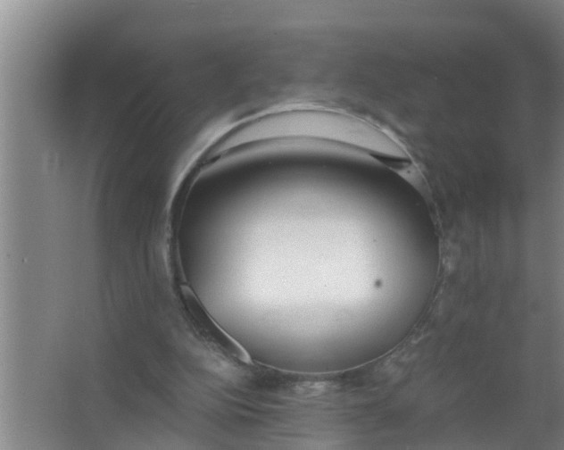 X0000063470152200602031909