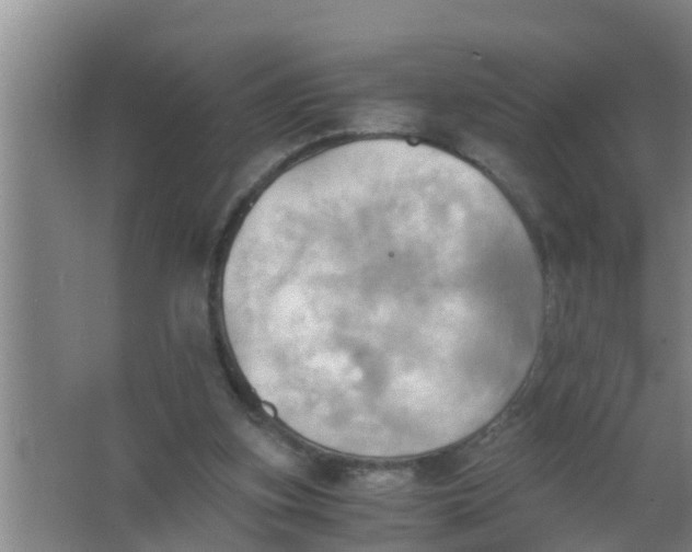 X0000063470155200602031909