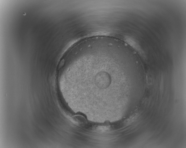 X0000063470156200602031909