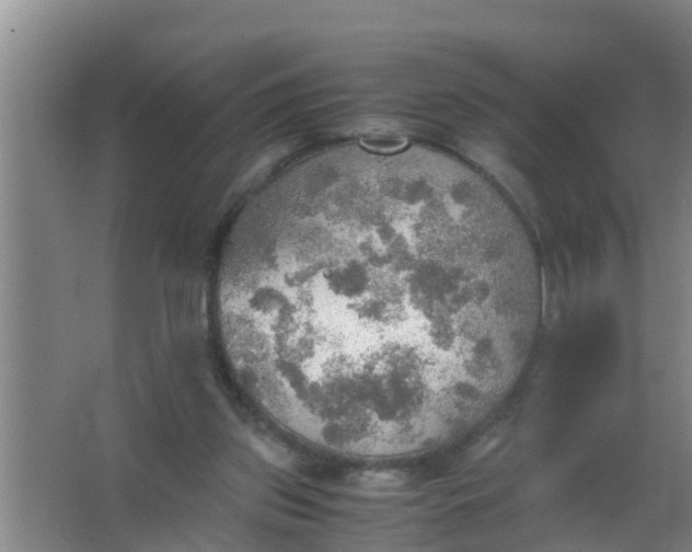 X0000063470157200602031909