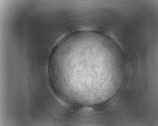 X0000063470159200602031909