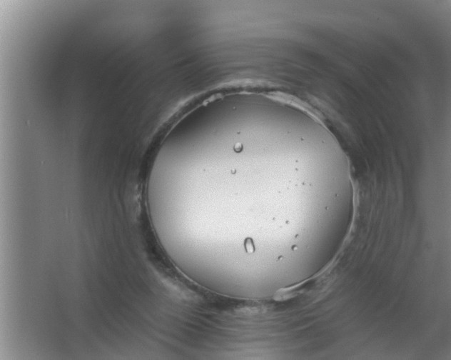 X0000063470160200602031909