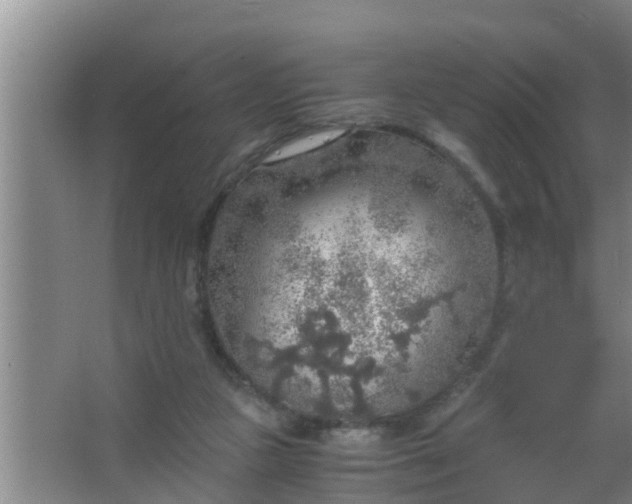 X0000063470161200602031909