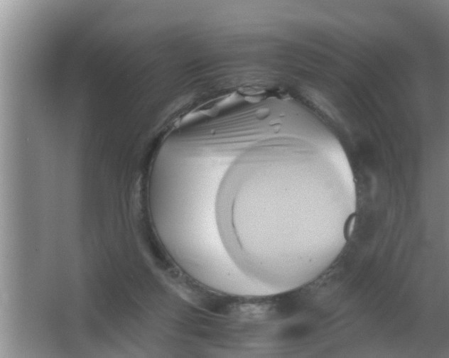 X0000063470163200602031909