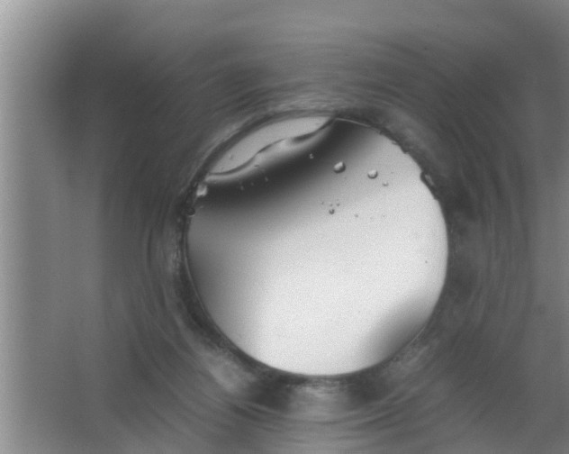 X0000063470164200602031909