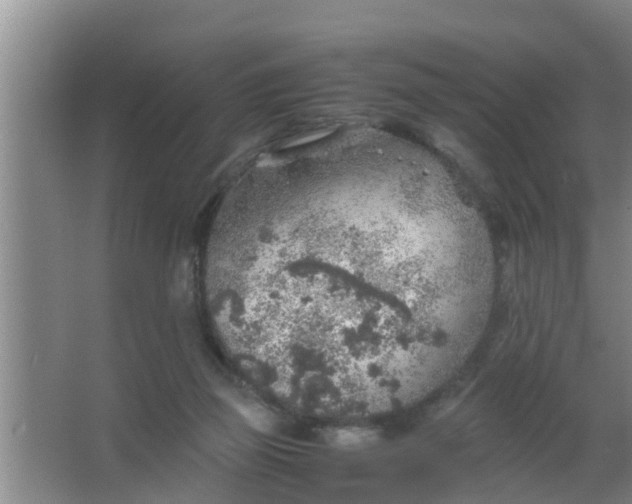 X0000063470165200602031909