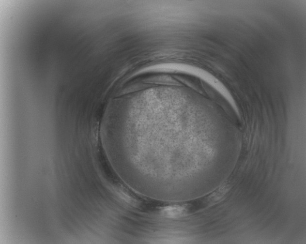 X0000063470168200602031909