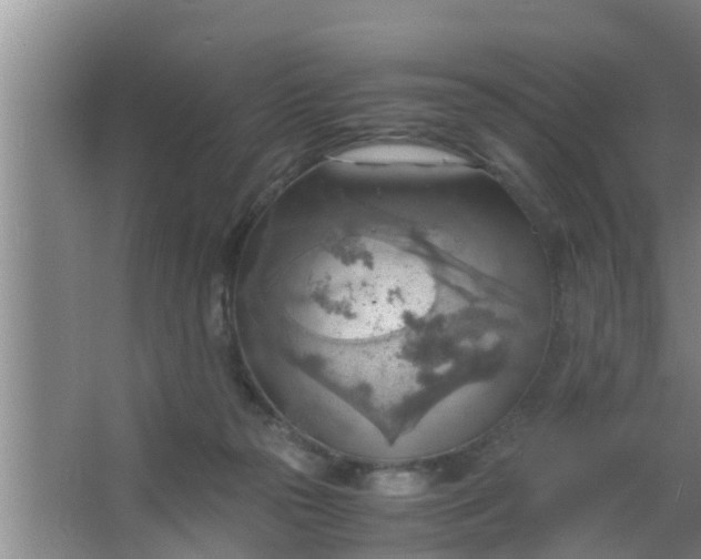 X0000063470169200602031909