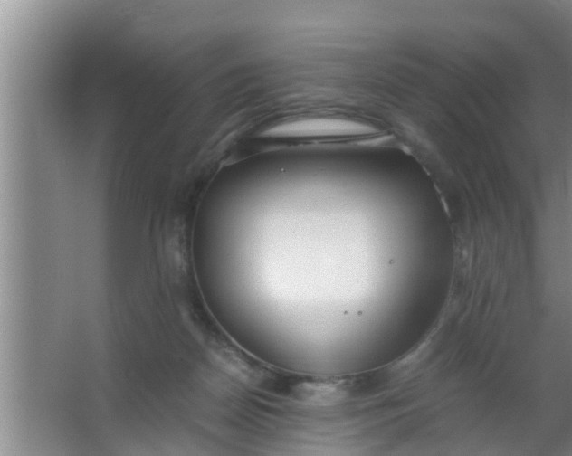 X0000063470170200602031909