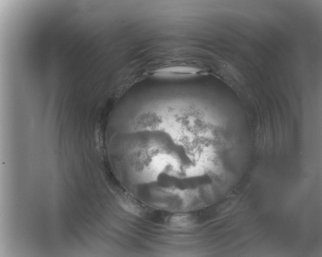 X0000063470173200602031909