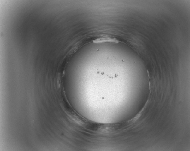 X0000063470174200602031909