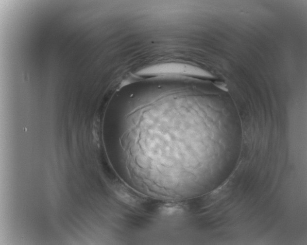 X0000063470175200602031909