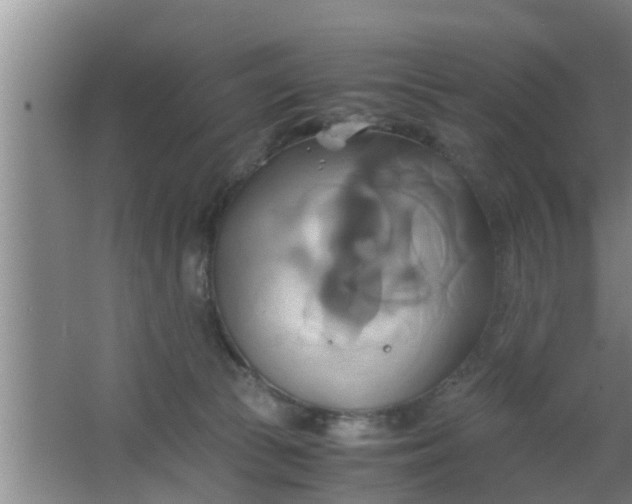 X0000063470177200602031909