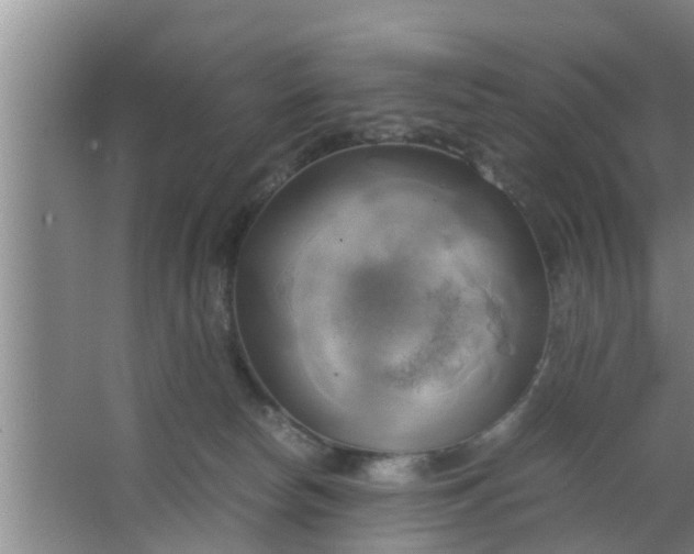 X0000063470178200602031909