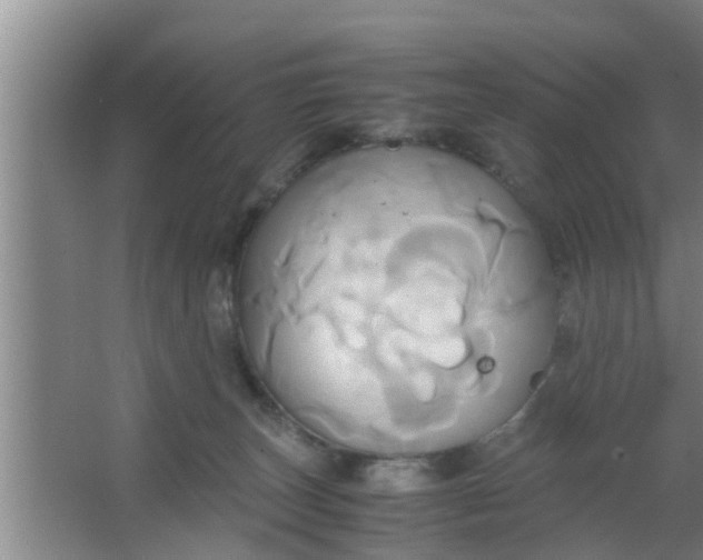 X0000063470179200602031909