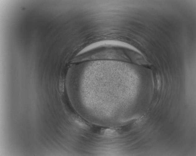 X0000063470180200602031909