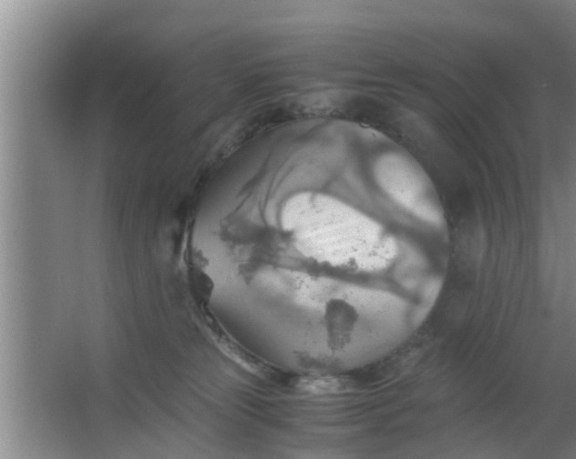 X0000063470181200602031909