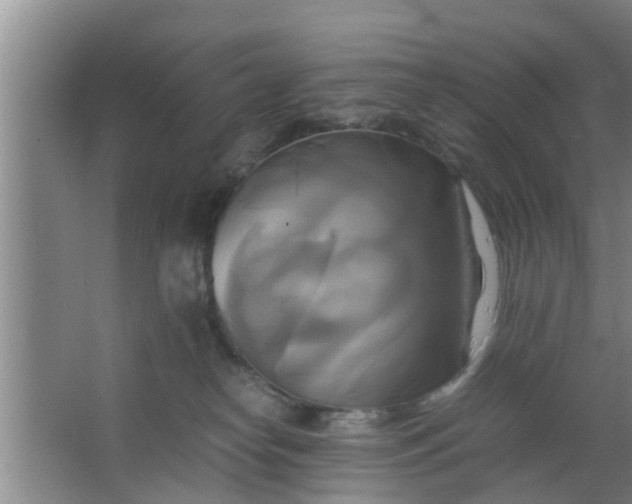 X0000063470182200602031909