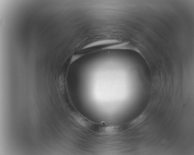 X0000063470184200602031909