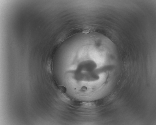 X0000063470185200602031909