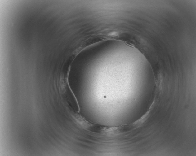 X0000063470186200602031909