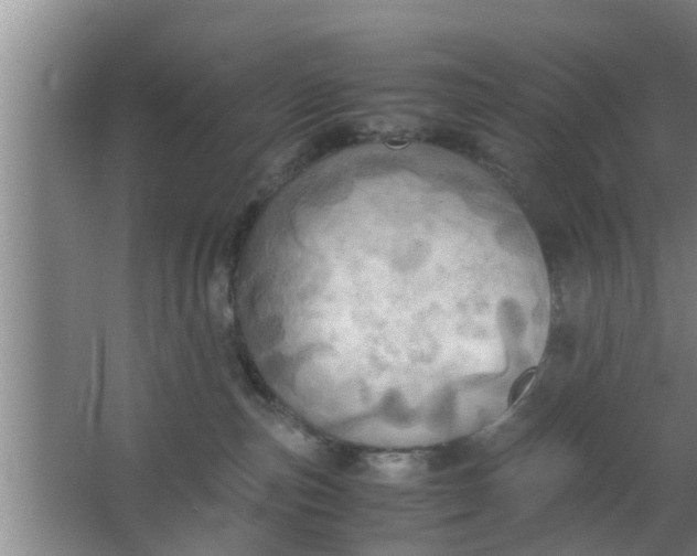 X0000063470187200602031909